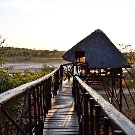 Bona Ngwenya Lodge & Safaris Marloth Park Extérieur photo